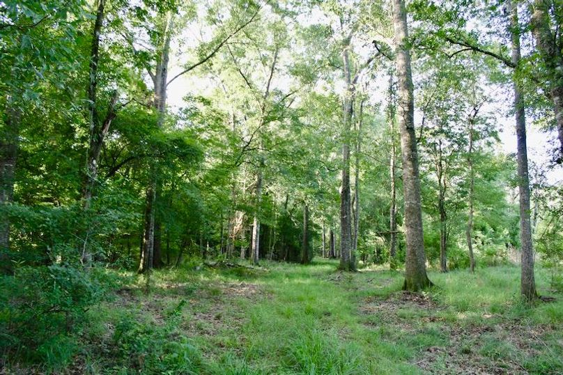 2B53BAA4-BD8F-469E-BAE1-1C6DE0CA089B_1_201_a