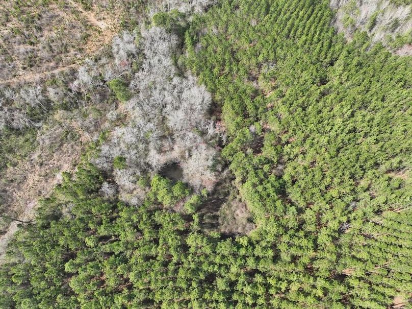 dji_fly_20240227_124644_133_1709056312194_photo