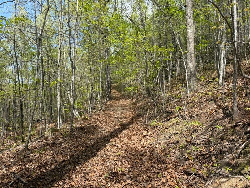 006 one of the many network of trails