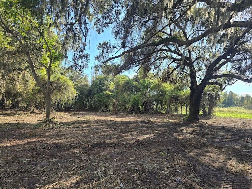 21ac, Sumter, Reelvest07