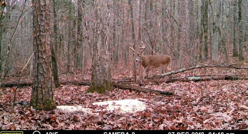 Photo Apr 20 2026, 4 33 53 PM