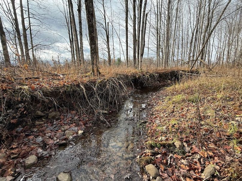 Tompkins_15.15_Galarza Photo 21