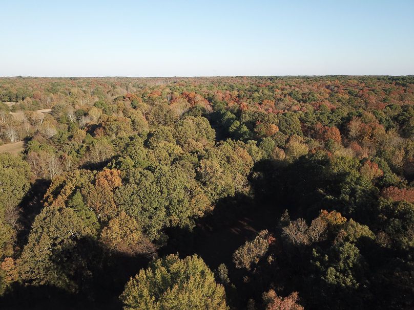 DJI_0068