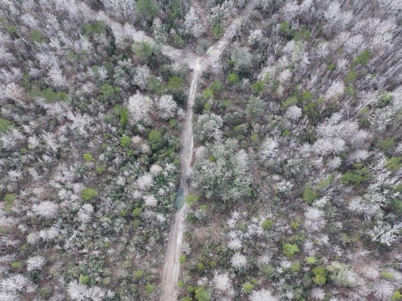 dji_fly_20260212_135706_0035_1771284251555_photo