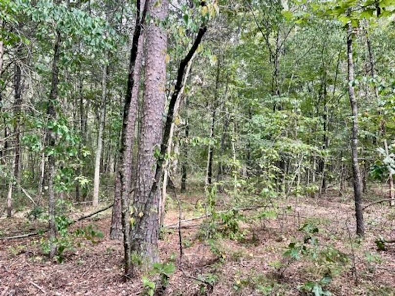 C3573103-6C7A-4889-A661-26D897923181_4_5005_c