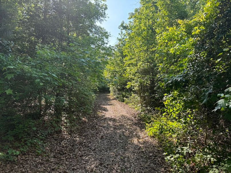 3 - trail 2