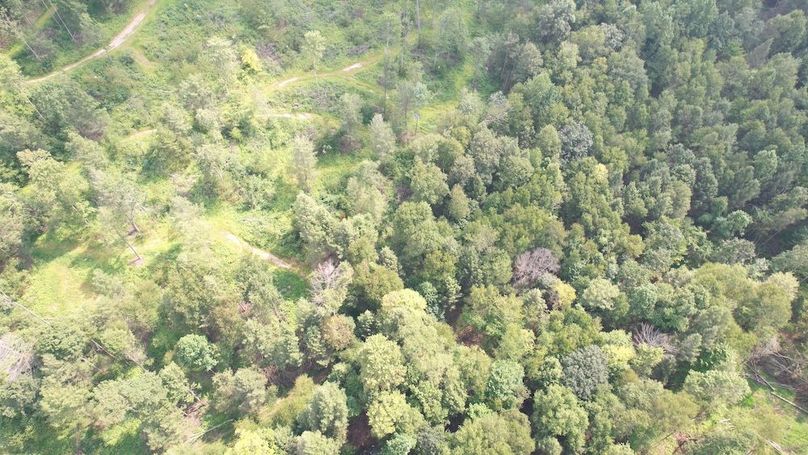 dji_fly_20250806_151904_610_1754528913183_photo