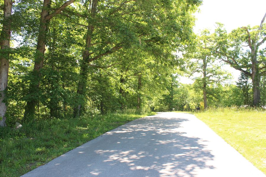 005 Butler Ridge Road along the south boundary of the property