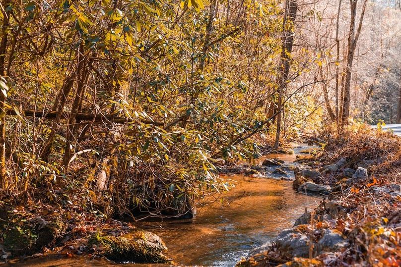 Deep pools for trout fishing 