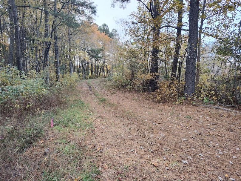 IMG_20251105_144939208_HDR