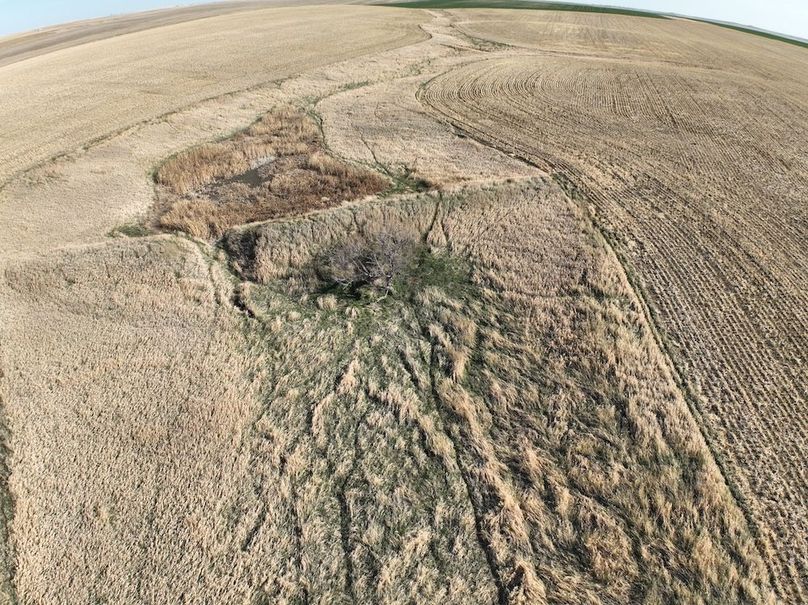 DJI_0394