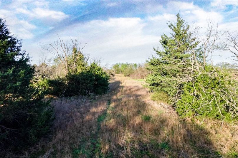 Hopkins County- 15.53 acres-18