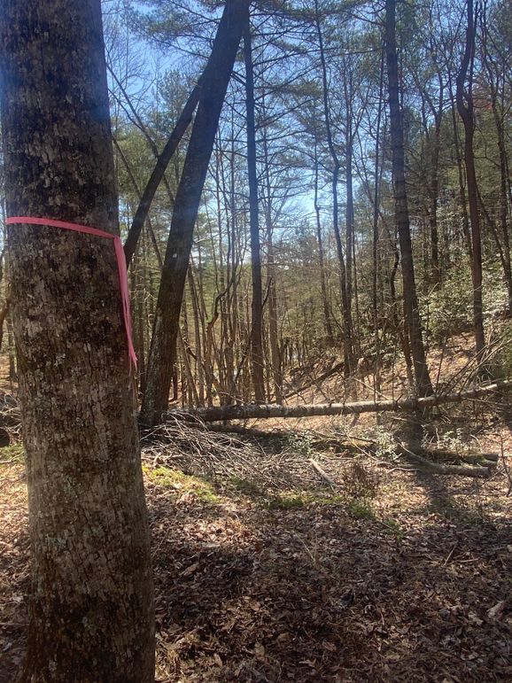 008 Property Line