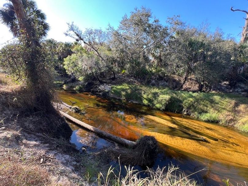 A2B85C0D-F227-496E-AF74-5493769858D7_1_105_c