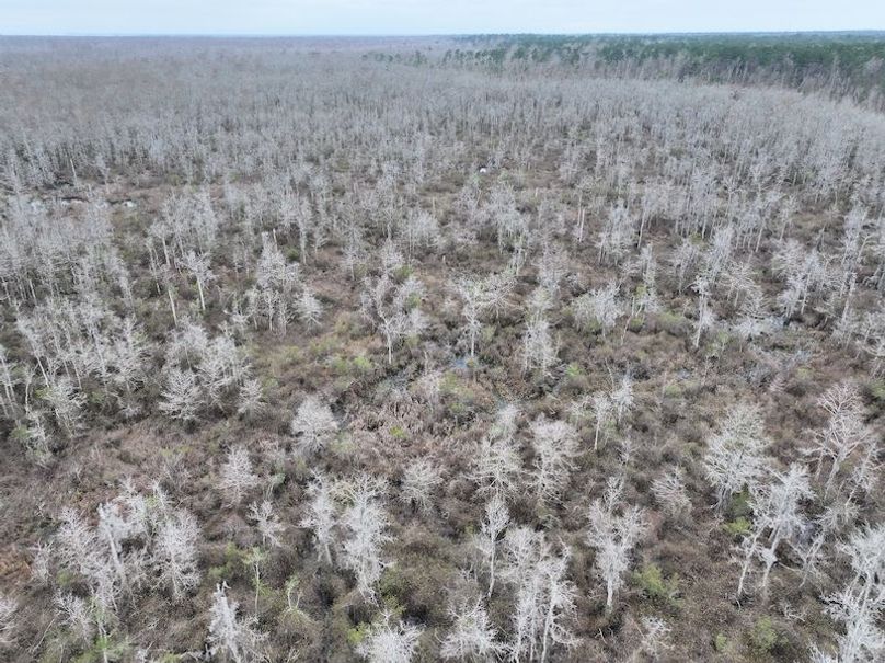 dji_fly_20260123_132540_0951_1769444769288_photo