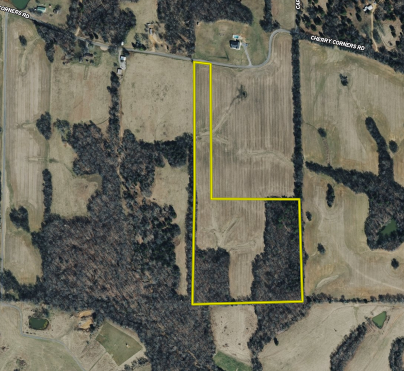 Screen Shot 2025-06-17 at 7.54.10 PM