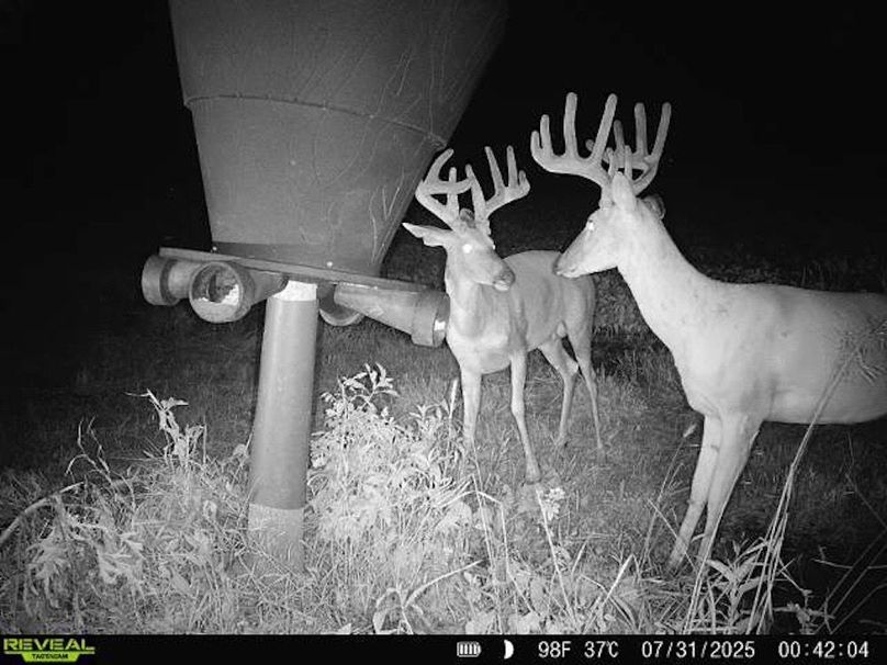 860322065657444-10-4-07312025004204-V-W1006166