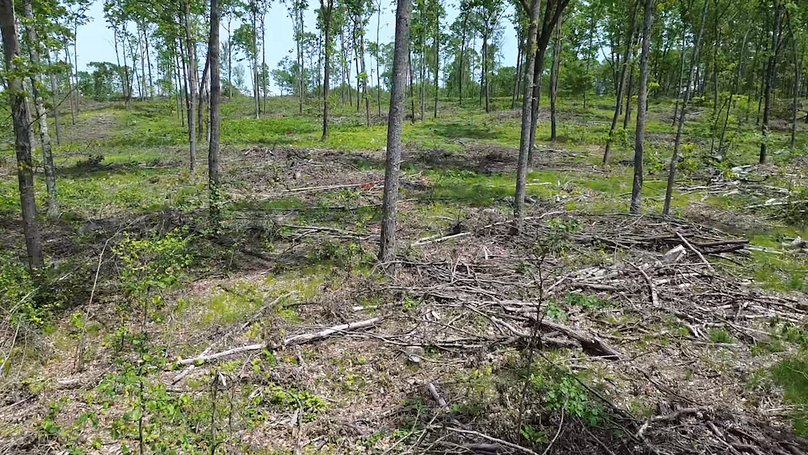 2024-05-24-12-58-32-007