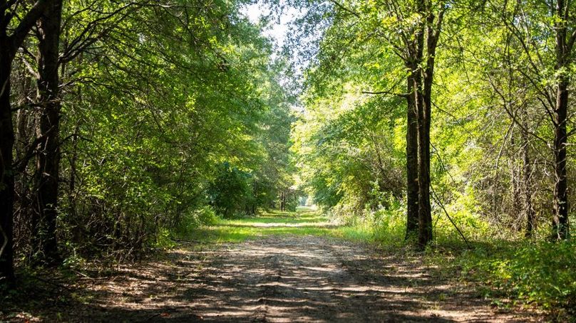 MadisonParLa1372-109