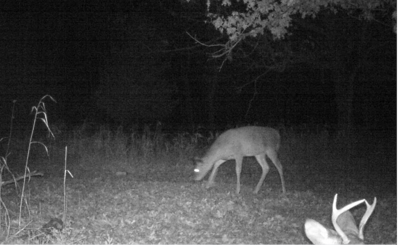 Screenshot 2026-01-05 at 2.47.08 PM