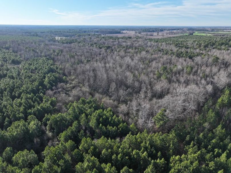 DJI_20260101161856_0301_D