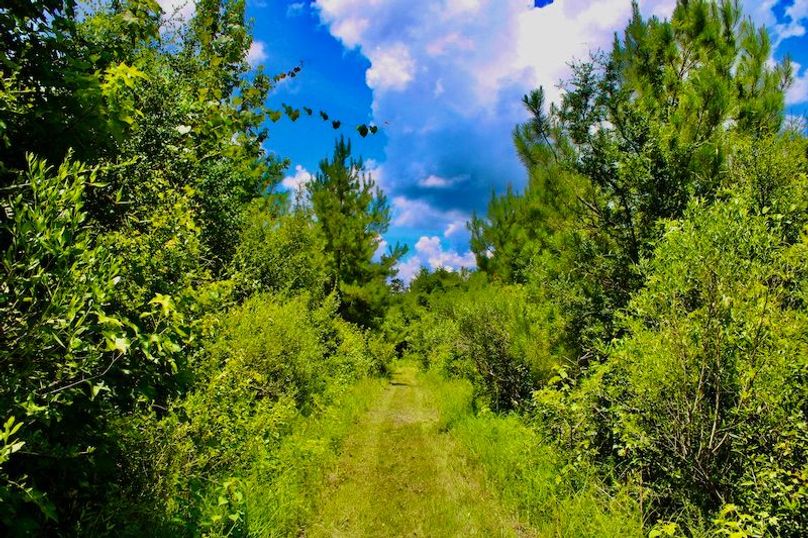 6381DA83-1A80-4949-A024-8666E4B5F20C_1_201_a