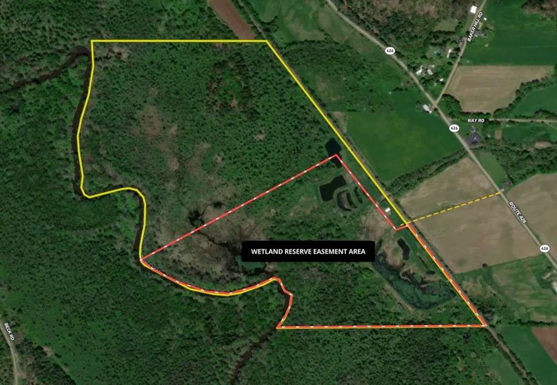 Screen Shot 2026-04-09 at 11.55.30 AM