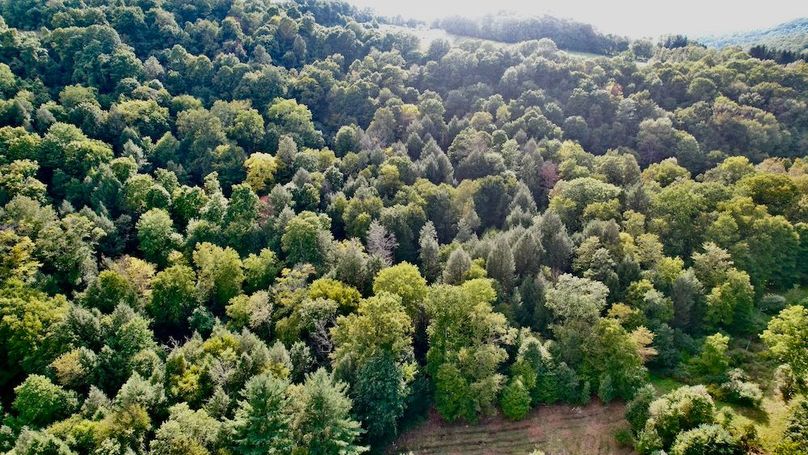 dji_fly_20240909_165426_630_1725915622955_photo