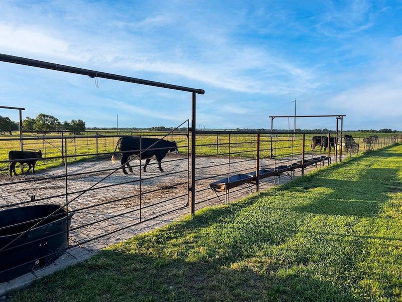 Hunt County 41.38 Acres (18 of 52)