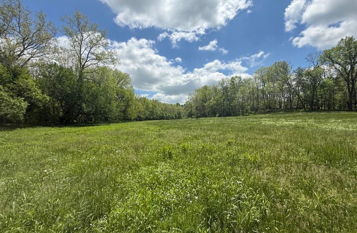 001 one of the many beautiful fields on the property
