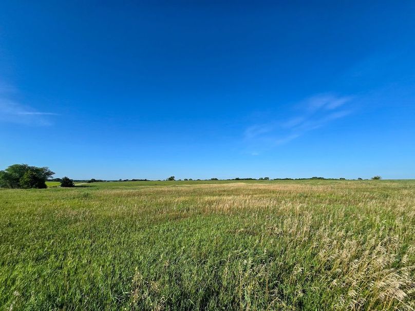 Copy of 20250729_081906