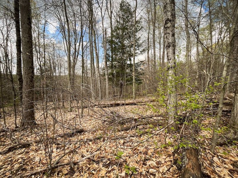 Tioga_76.65_Matyjas_Photos_15