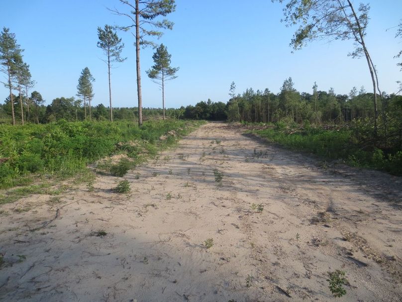 569A0A08-9622-4B8B-87F8-BABB5B776B03_1_105_c