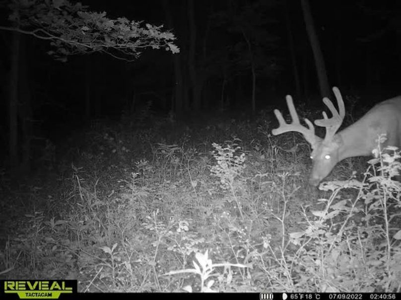 ef021f5e-e1e0-4c07-b18c-eb49582fa8d9