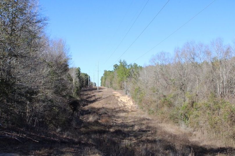 74255F91-4E44-4696-A39D-6D29B6B5F2B0_1_105_c