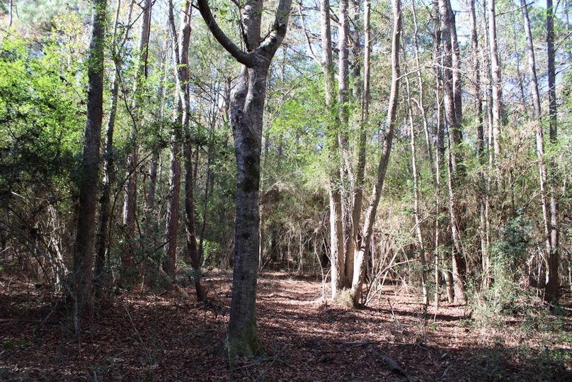 C42ACB09-7EFD-4D15-81DC-4DD52AD88F55_1_105_c