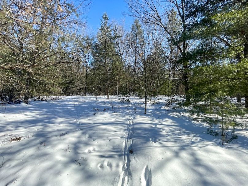 Adams 25, Nessler -36