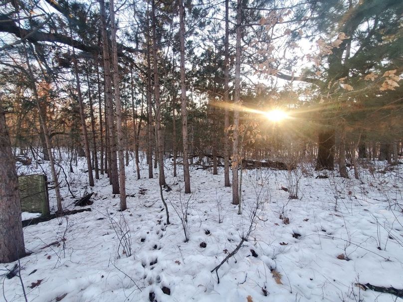 Resized_20240131_163458 2