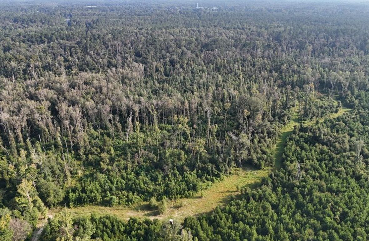 dji_fly_20250903_215744_0009_1756926965409_photo