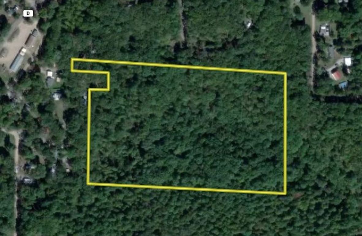 Screen Shot 2025-07-28 at 9.13.19 AM