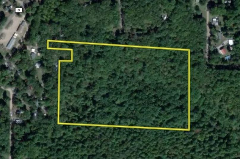 Screen Shot 2025-07-28 at 9.13.19 AM