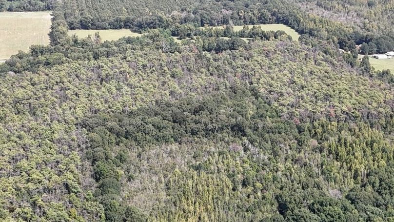 DJI_20250923005157_0747_D