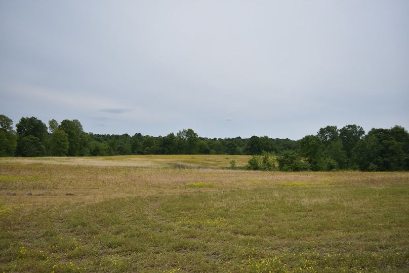 DSC_2580