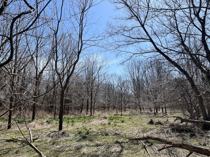 Ontario_96.7_Kiikka Photo 22