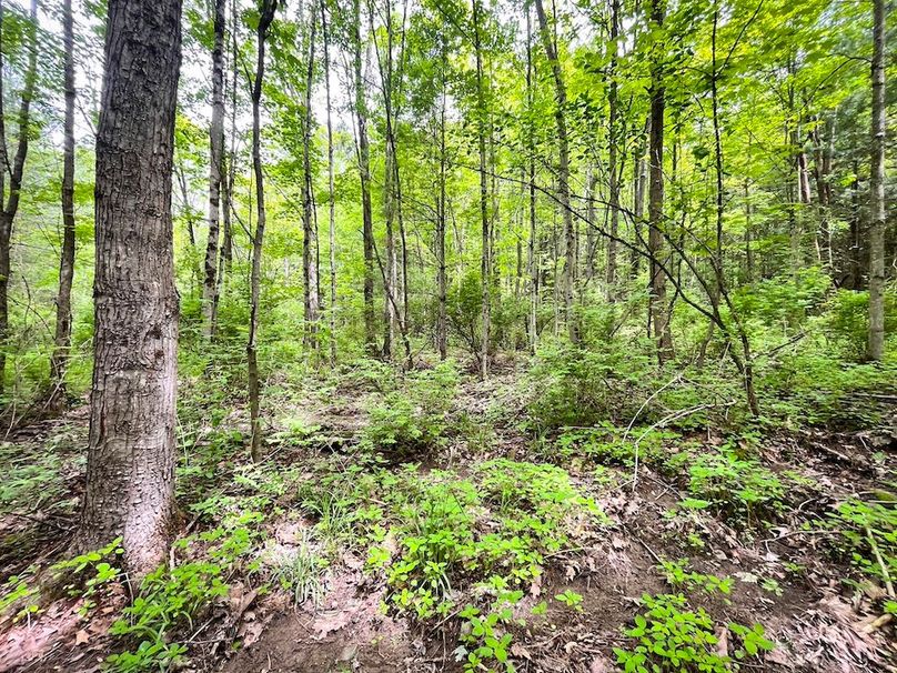 Tioga_31.4_Kemp_Photos_31