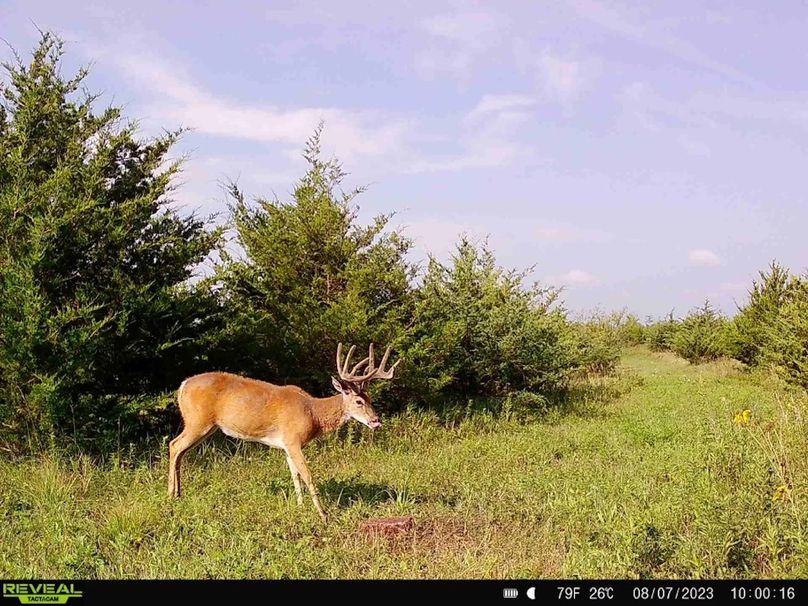 12E6B86D-311D-4572-A81B-20606662D70B