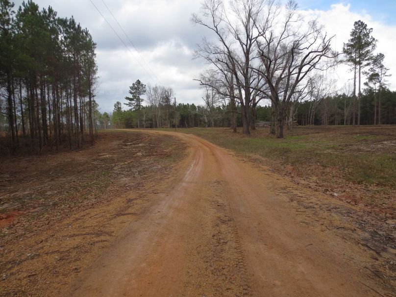 D9F2EBC2-E4C4-4F68-9EB1-05473A4404D2_1_105_c