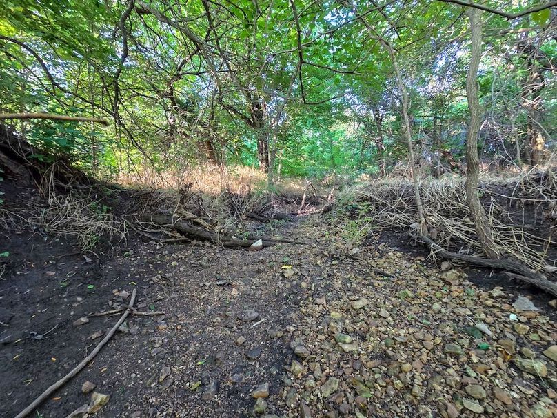 Copy of 20250729_080254