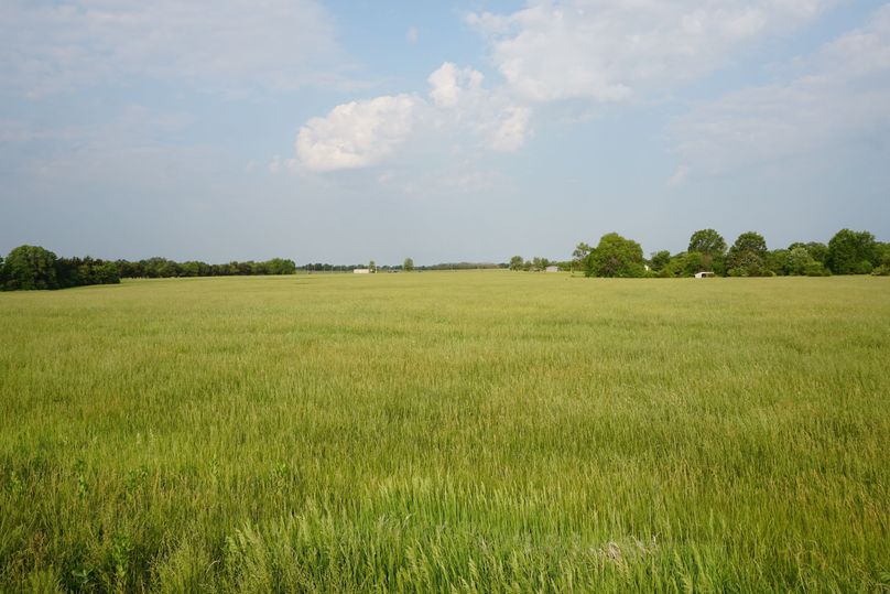DSC07436