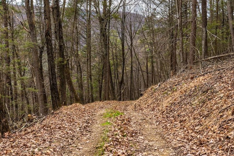 19-web-or-mls-IMG-19